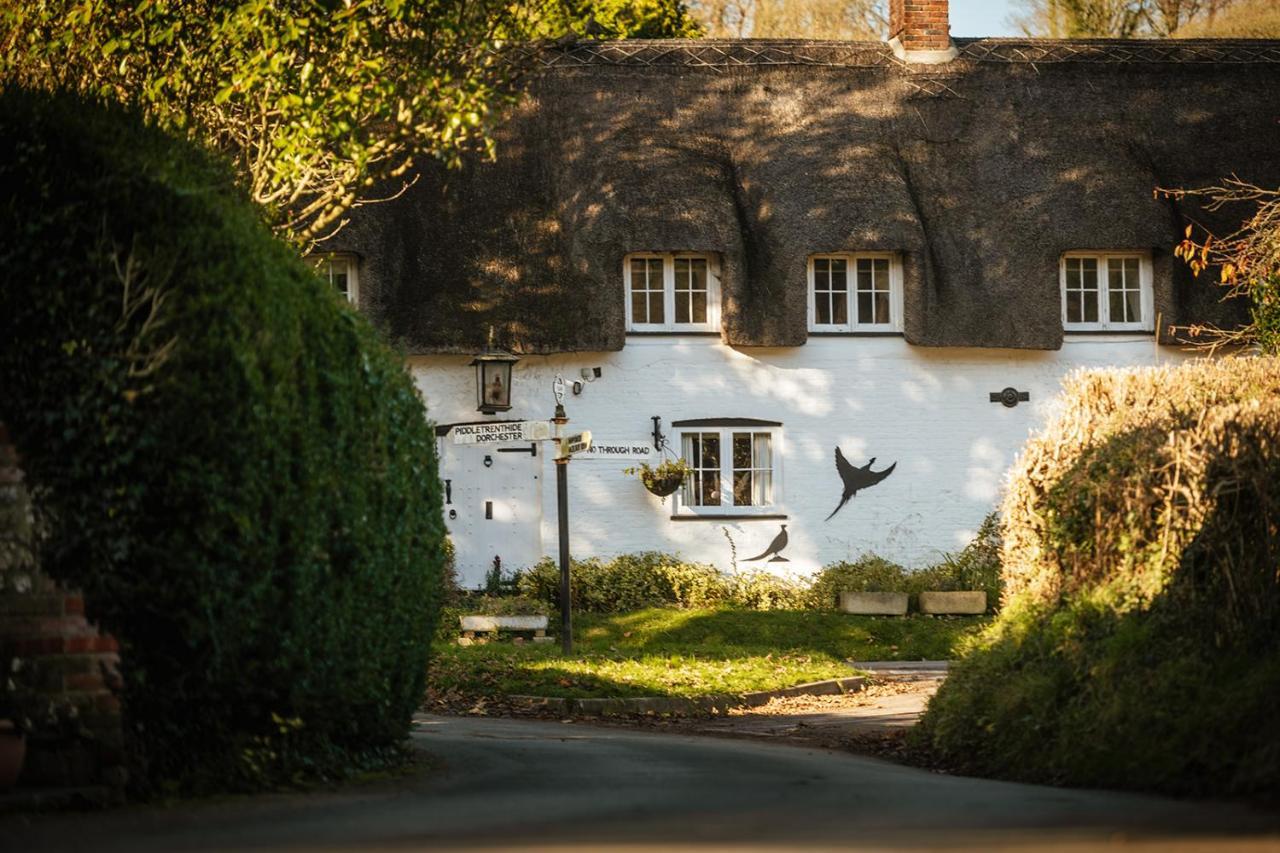 Brace Of Pheasants Hotel Alton Pancras Luaran gambar